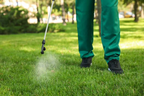 Best Residential Pest Control  in Kgsford Heights, IN
