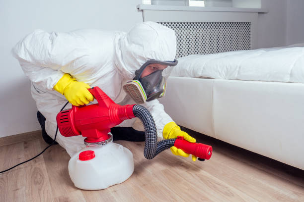 Wasp Removal Services in Kingsford Heights, IN