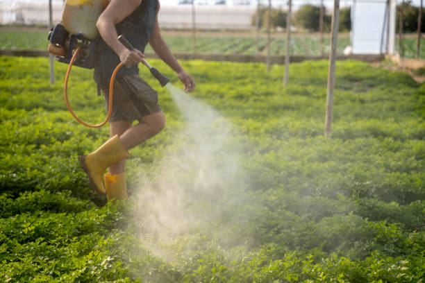 Best Pest Control Near Me in Kingsford Heights, IN