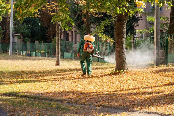 Best Flea Control Services  in Kgsford Heights, IN