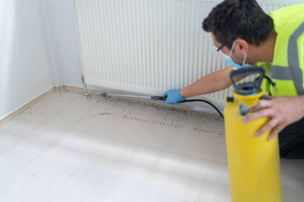 Best Pest Control for Homes  in Kgsford Heights, IN
